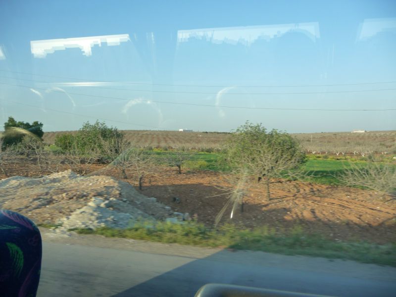 P1030088.JPG